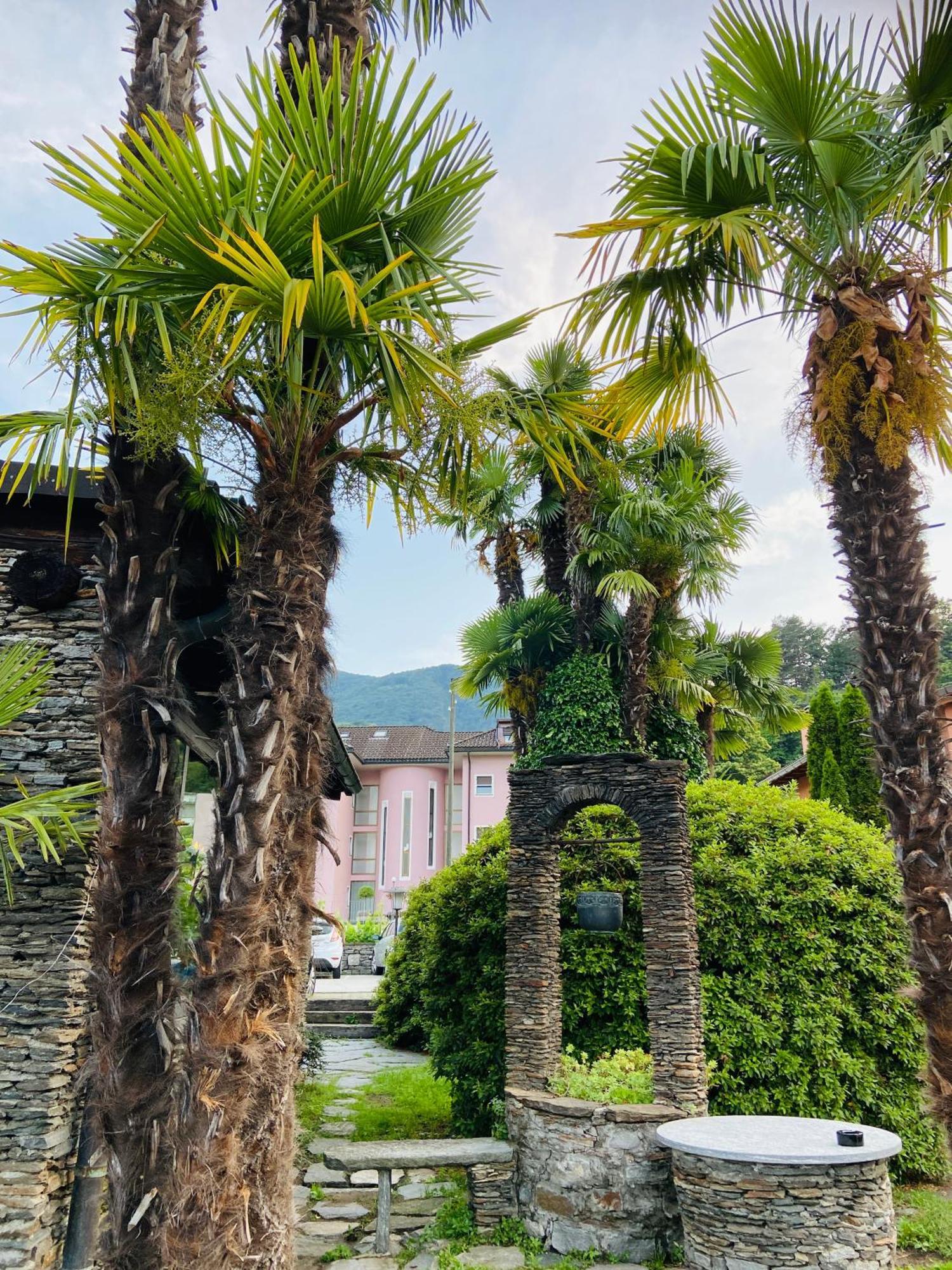 Albergo Pensione San Giorgio Losone Buitenkant foto